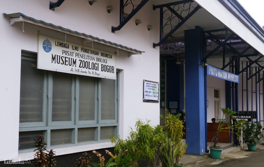 Museum ZooLogi