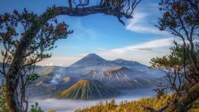 One Day Gathering Bromo Midnight