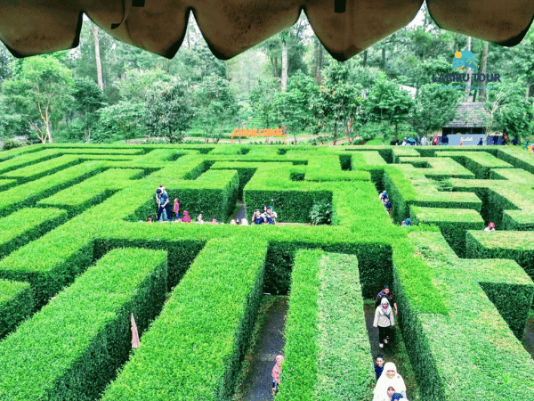 Labirin Rumbai Paket Outbound Malang Amazing Race Coban Rondo & Labirin