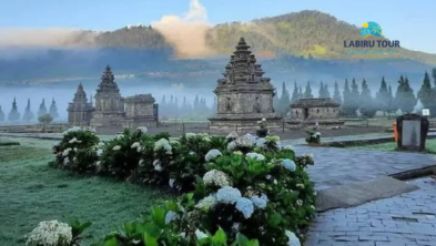 One Day Tour Dieng