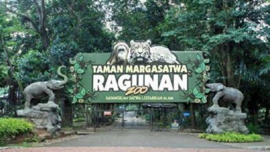 Ragunan Zoo