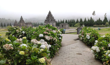 5 Tempat Wisata Romantis di Dieng untuk Liburan Bareng Pasangan