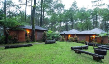 5 Tempat Outbound Seru di Lembang untuk Team Building