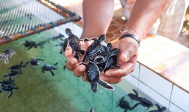 6 Tempat Wisata Edukasi di Kepulauan Seribu yang Seru untuk Anak-Anak