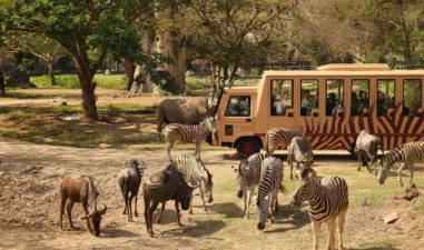 7 Destinasi Study Tour Bali yang Edukatif dan Seru