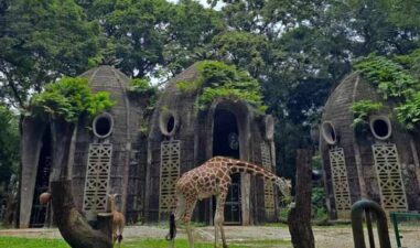 7 Tempat Wisata Alam di Jakarta untuk Menikmati Keindahan Alam