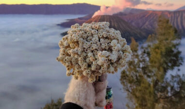 5 Oleh-Oleh Khas Bromo yang Wajib Masuk Daftar Belanjamu