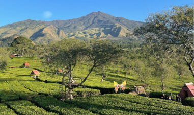 7 Wisata Alam Asri di Malang untuk Healing Anak Kantor