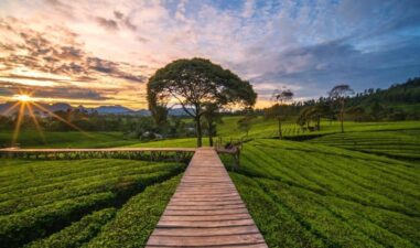 7 Destinasi Hidden Gem di Bandung yang Family Friendly